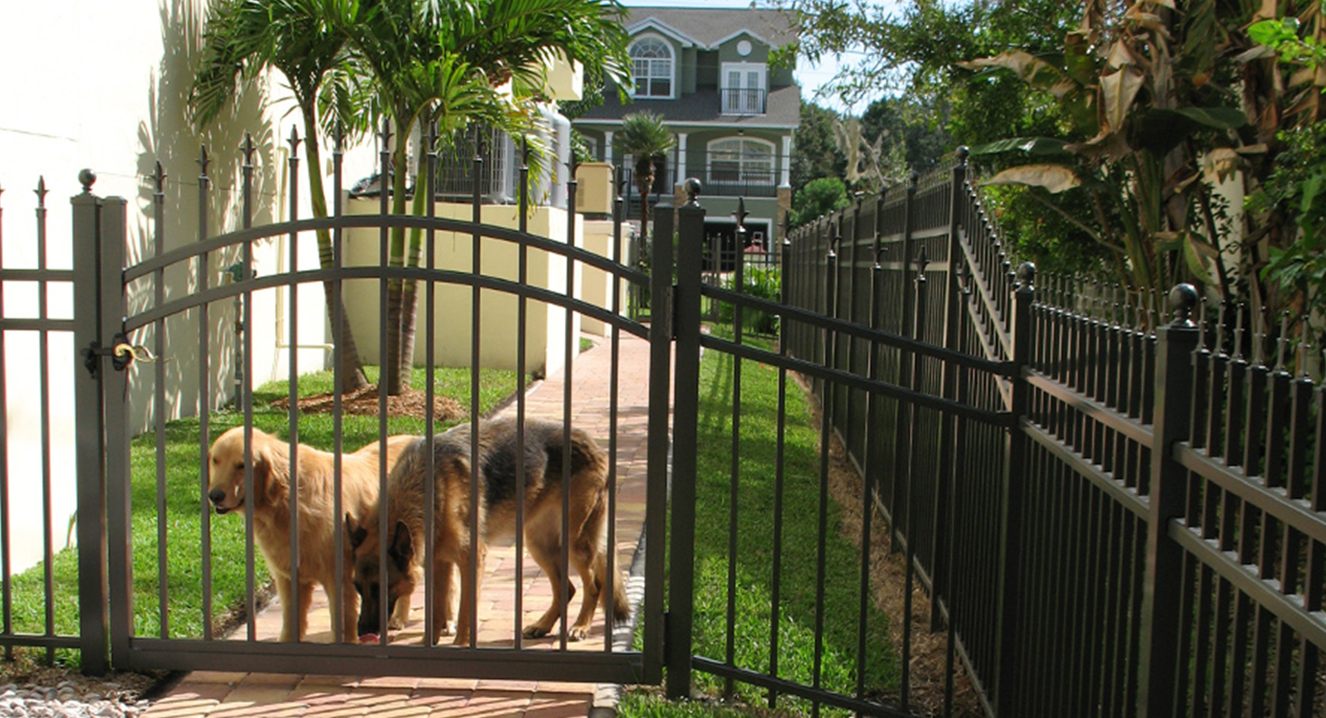 Ascot Walk Gate